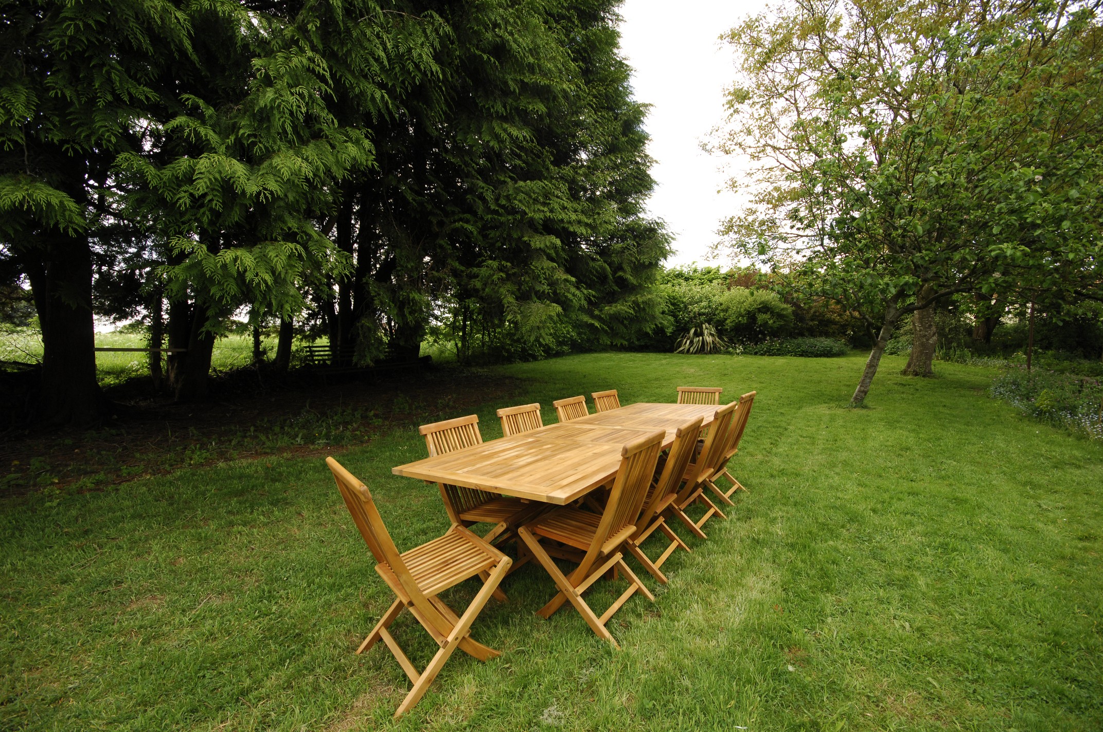 A long wooden table set for a meal on a lawn beneath mature trees